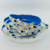 WS2811 warm white LED strip trader supplying addressable LED tape lights in Uttar Pradesh, Punjab, Haryana and Himachal Pradesh