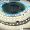 White 120 LEDs per meter LED strip trader supplying LED tape lights in Uttar Pradesh, Punjab, Haryana and Himachal Pradesh