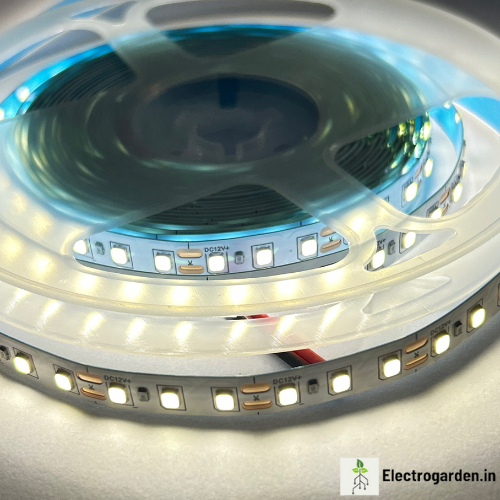 White 120 LEDs per meter LED strip trader supplying LED tape lights in Uttar Pradesh, Punjab, Haryana and Himachal Pradesh