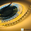 Warm white 120 LEDs per meter LED strip trader supplying LED tape lights in Rajasthan, Maharashtra, Gujarat and Uttar Pradesh