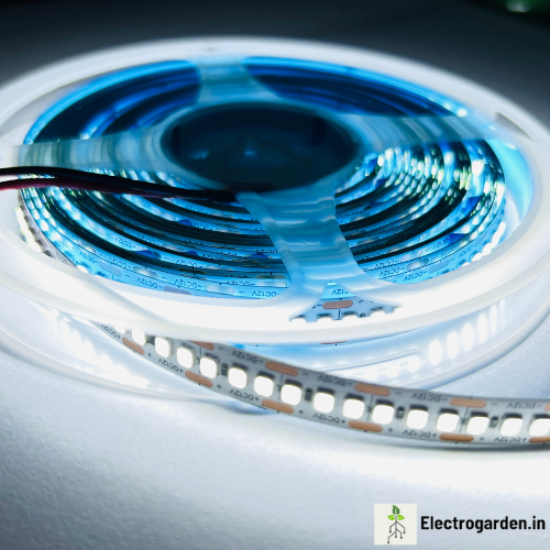 White 240 LEDs per meter LED strip trader supplying ultra high-density LED tape lights in Tamil Nadu, Kerala, Andhra Pradesh and Telangana