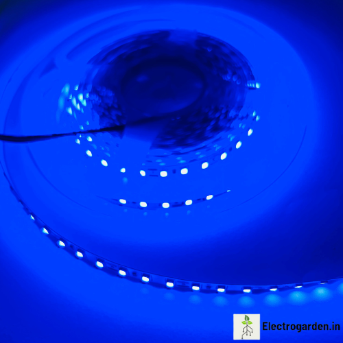 120 LEDs per meter LED strip trader supplying LED tape lights in Uttar Pradesh, Punjab, Haryana and Himachal Pradesh