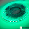 120 LEDs per Meter LED Strip - Green
