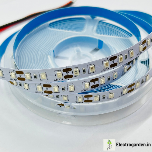 Red 120 LEDs per meter LED strip trader supplying LED tape lights in Assam, Arunachal Pradesh, Delhi and Madhya Pradesh