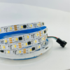 RGBWW addressable LED strip trader supplying smart LED tape lights in Chhattisgarh, Assam, Arunachal Pradesh and Delhi